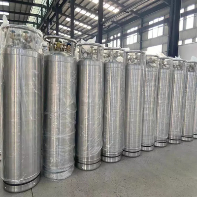 Industriële de Cilinder495l Capaciteit van het Roestvrij staal Cryogene Dewarvat
