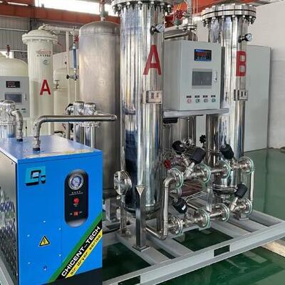 Marine PSA Nitrogen Generator for LNG Carrier Insulation Space Inerting with High Purity N2